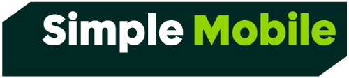 wireless master logo